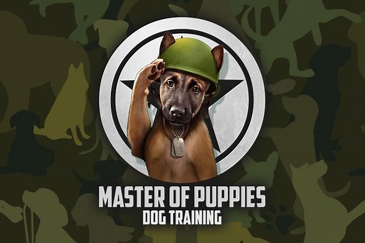 Master Of Puppies Dog Training Success Stories | Client Reviews
