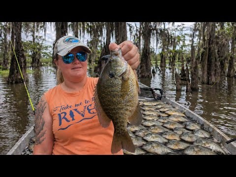 Over 100+ Fish !! Shellcracker City