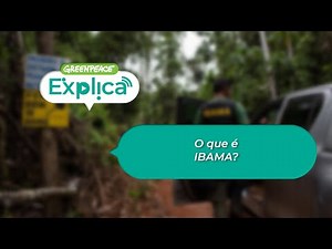 O que é o IBAMA? - Greenpeace Explica