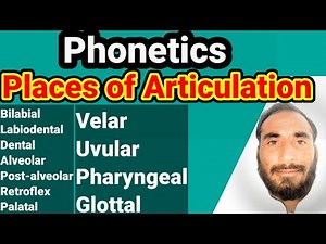 Phonetics | Places of Articulation Explained with Examples