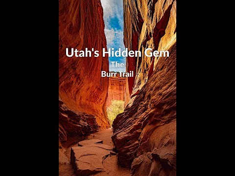 Discover Utah's Best-kept Secret: The Beauty Of Southern Utah Through The Burr Trail!