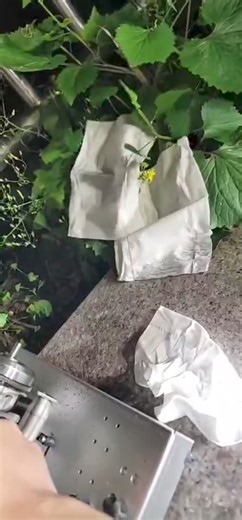 cison v8——Green sweetheart's super powerful motor, can you withstand it?😆😆 Stirlingkit.com #stirlingkit #engine #engineerlife #enginemodel #cison #v8 #Sweet #cute | Stirlingkit