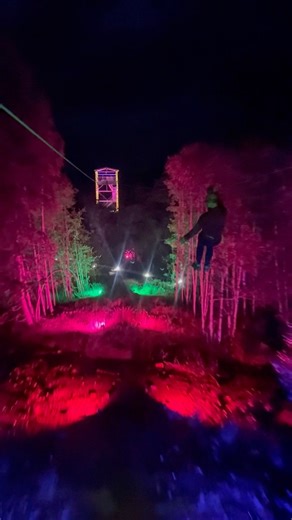 Night zip at Scotlands longest zip wire and the UK’s largest zip trek park. #zipline #ziptrek