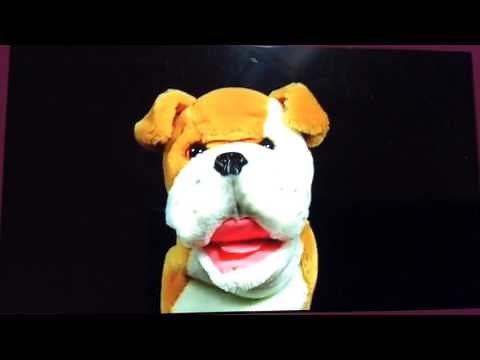 Baby Mozart Discovery Kit Dog Scene