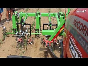 Désherbage mécanique du maïs