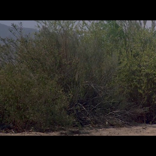 66K views · 2.4K reactions | Airwolf | Man and Machine | Facebook