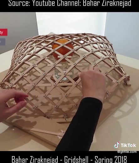 Exploring Gridshell Structures by Bahar Ziraknejad