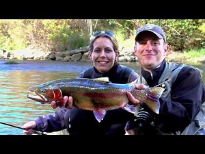 Putah Creek Fly Fishing - Northern CA Trophy Trout Fishery