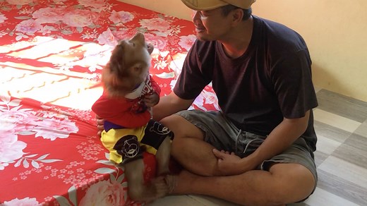 Jason Pre Action Persuade To Massage Prevent Dad Not Use Lotion | Monkey Jason