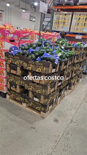 shooping costco#viral #tiktok #fyp