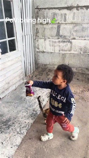 Exploring the High Perspective: A Fun PoV Experience