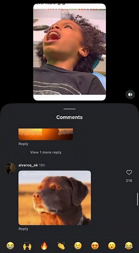 “Me down”. I really hope he releases his track one day. #wicked #meme #laughinggas