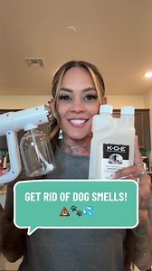 Kennel Odor Eliminator: Pet-Safe Deodorizing Spray Guide