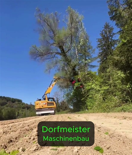 Dorfmeister Fällgreifer Cat Bagger HBS 450 Baumschere hydraulisch