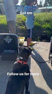 3.8K views · 21 reactions | #Huntin #IguanaHunting #IguanaHunt #LizardHunt #LizardHunting #LizardHunter #LizardHuntingDog #IguanaHuntAndDog #CountryDog #huntingdog #DuckHunter #DuckhuntingDog #Retriever #WorkingDog #InvasiveSpecies #InvasiveSpeciesRemoval #Bowfishing #Gigging #Alligatorhunting #GatorHunting | Florida Outdoors Company | Facebook