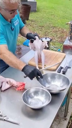 Dispatching Chickens Humanely & Efficiently #Dispatching Chickens