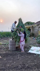 Unique Christmas Tree Idea That Will Seriously Impress Your Guests This Year #christmas 🌲🎄 #christmas #christmastree | Dipali Art's