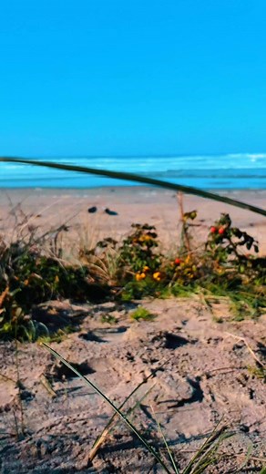 A look at my weekend adventure | Moe Heidi