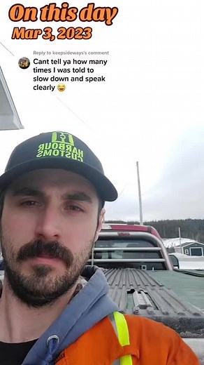 HarbourCustoms on TikTok