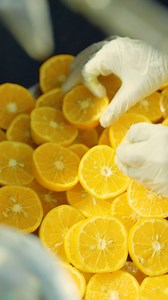 A day in the life with Amna Soomro, Head of Production at the Lush Crush factory! 💚🍓 See how passion and hard work come together to create your favorite treats! #BehindTheScenes #LushCrush #FactoryDiaries | Lush Crush