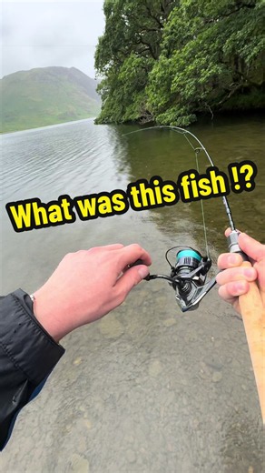 Fishing in a Beautiful Spot: Guess the Fish That Struck My Shad