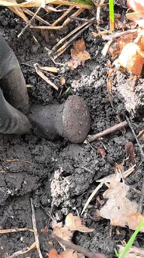 SECOND ANCIENT AXE IN 10 MINUTES!!!! Forest digger with an xp orx metal detector. #treasure #dete...