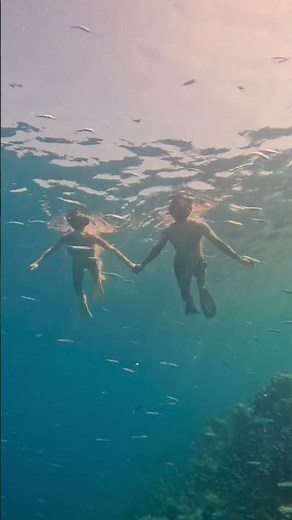 Hurawalhi Island Resort - Snorkeling