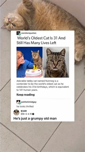 The world’s oldest cat is very grumpy