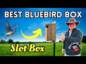 The Best Bluebird Nesting Box | Slot Box