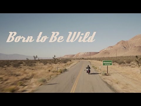 Born to Be Wild (MCU Bikers)