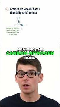 Amides Explained | Primary, Secondary & Tertiary