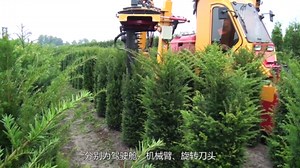 不可思议的树木修剪机，围绕树木转一转便剪完，3秒一棵树