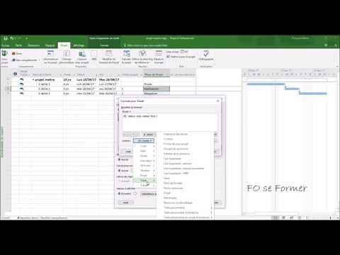 MS Project : Personnaliser les barres de tâche
