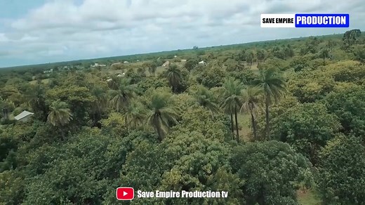 Save Empire Production tv (@saveempireproductiontv)’s videos with original sound - Save Empire Production tv