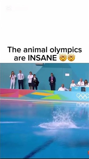 Animal Olympics 🏆🏆 #fypシ #viralshort #explore #trending #viral