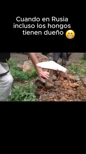 Hablá ruso | Desde la 1ª clase | Desde cero | Sin estrés | Ve el video hasta el final 😂😂😂 Clases de ruso desde cero — link en bio. #aprendemosruso #idiomaruso #humor #argentina #culturarusa | Instagram