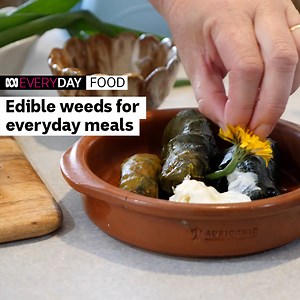Edible weeds or simply "greens" as they are now known to Dawn Bayly and her family, have become a part of everyday cooking in her busy household in Port Macquarie on the New South Wales north coast. Video: Wiriya Sati/ABC Mid North Coast | ABC Australia