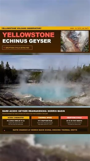 🔥 Yellowstone Geyser Wakes Up After 6 Years of Silence 🔥 A rare acidic geyser in Yellowstone’s hottest basin has suddenly come back to life. Echinus Geyser jumped from total quiet to eruptions every few hours, sending up blasts of hot water and dropping the pool to the bottom each time. Sensors are catching sharp temperature spikes as the system surges and drains, showing rapid underground change inside the most unstable ground in the park. #Yellowstone #GeyserWatch #NorrisGeyserBasin | Above