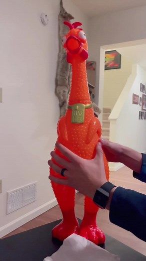 The Most Annoying White Elephant Gag Gift Ever?