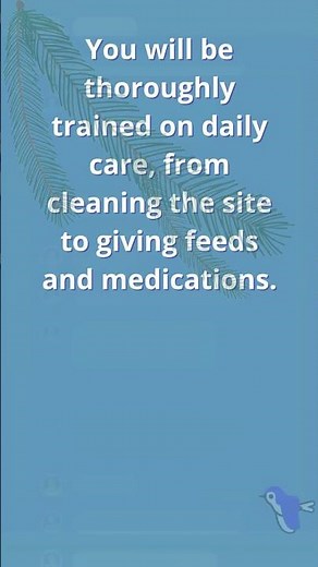 4 Things Parents Must Know About Enteral Feeding Tubes