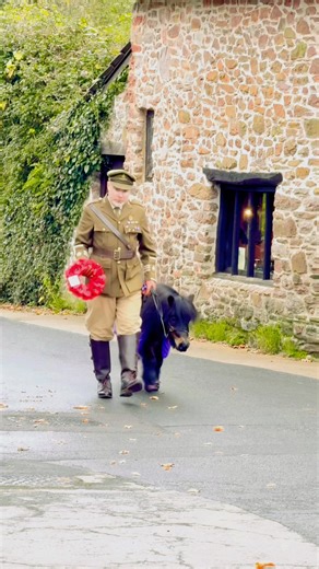 377K views · 21K reactions | Today we remember the humans & Animals that have died in wars # # #lestweforget #remembrance #remembranceday #lestweforget | The Adventures Of Patrick The Pony | Facebook