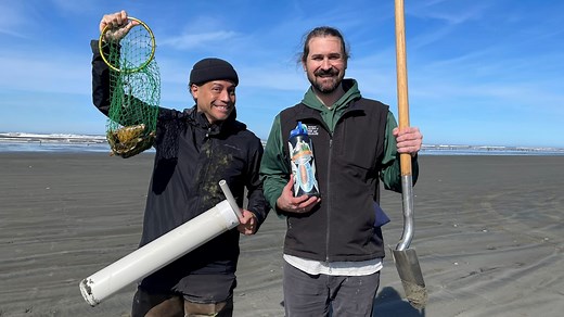 Expert tips for digging razor clams on the Washington Coast