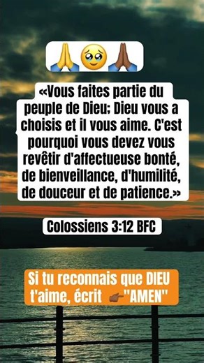 Tu n'es pas le fruit du hasard 🙏#FoiChrétienne #Bible #VersetDuJour #Colossiens312 #amourdechrist