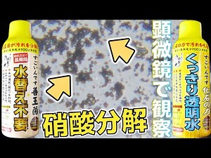 【バクテリア】ついに硝酸塩を分解する液体が新登場！規定量添加で1カ月水換えが不要になります。コトブキ すごいんです善玉菌/化石の力【ふぶきテトラ】