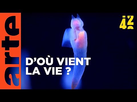 Quelle est l'origine de la vie ? | 42 - La réponse à presque tout | ARTE