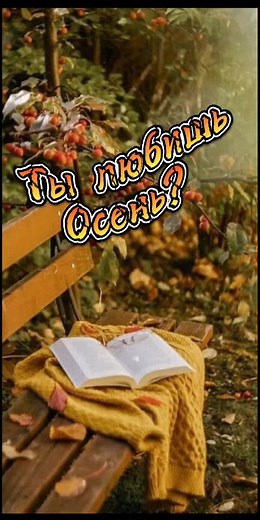 Experience Autumn's Cozy Beauty in Stunning Scenes