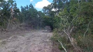 News 5 Live on Reels