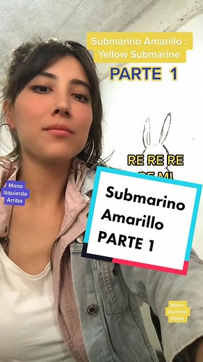 Learn to Play Yellow Submarine on Flute