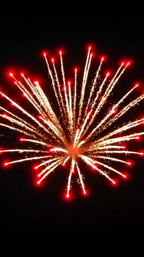 Stunning Fireworks Display Over City Skyline