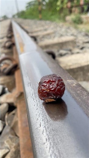 One Reetha fruit 🍇 vs train 🚊 what 😱 happened next..? #shorts #train #experiment